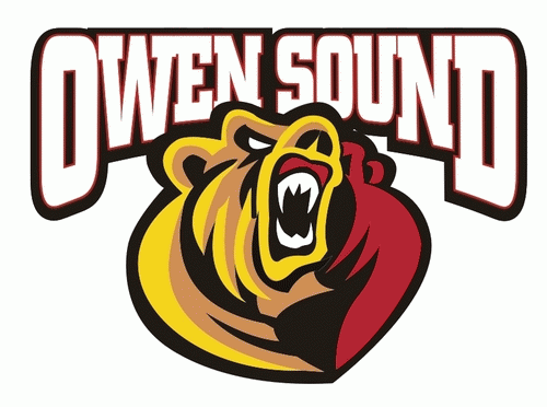 Owen Sound Attack iron ons